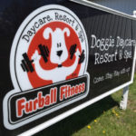 outdoor sign for Furball Fitness Doggie Daycare Resort and Spa